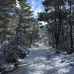 Mas Del Olivar
