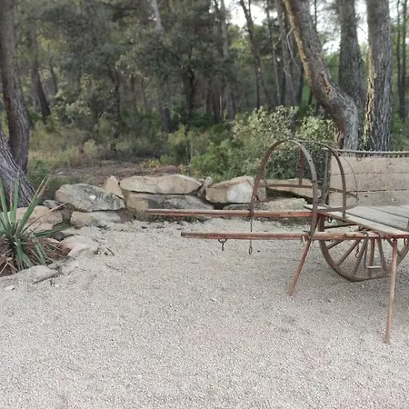 Mas Del Olivar La Portellada