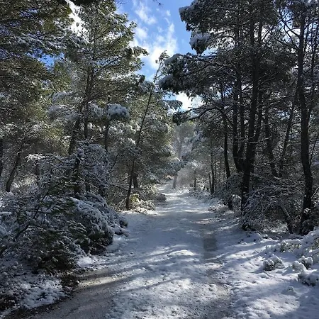 Mas Del Olivar