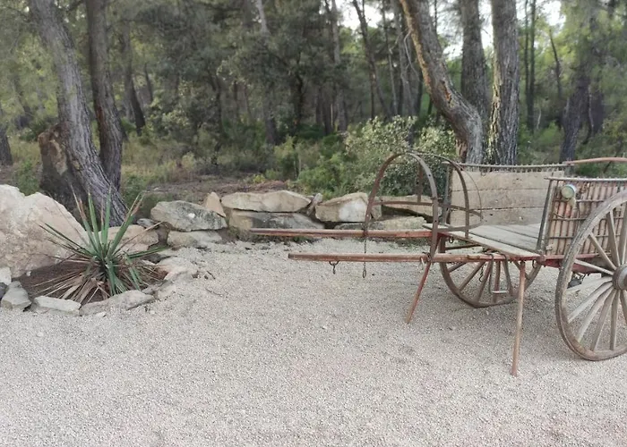 Mas Del Olivar La Portellada